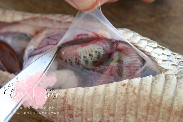 Giải mã quan niệm dùng rắn làm “thần dược” để tăng bản lĩnh “phòng the” mạnh như vua chúa