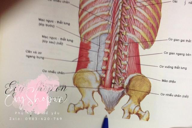 Tai nạn chốn phòng the: Kinh hoàng đêm tái hôn