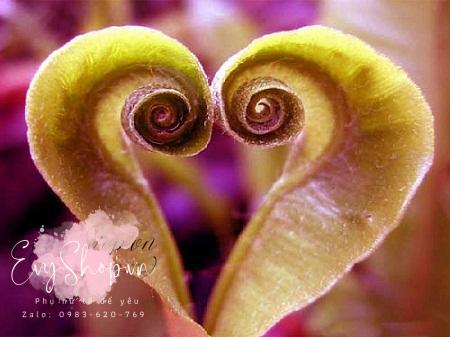 Khám phá bí quyết thổi bùng lửa 