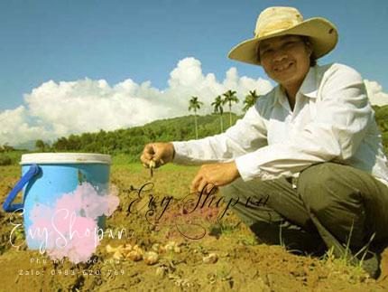 Món ăn đặc biệt giúp đàn ông Cơ Tu “ngàn năm tráng kiện” trong chuyện phòng the