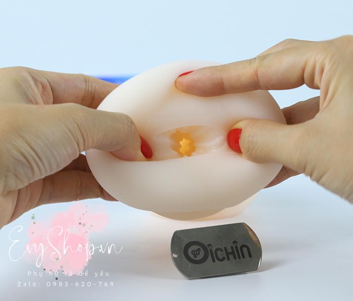 Cấu trúc đầu hậu môn Cấu trúc đầu hậu môn