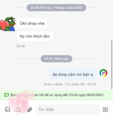 Ảnh review Dương vật giả giống thật Silicone mềm giá rẻ có rung của khách hàng Ly