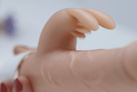 Wind chaser rung nhánh