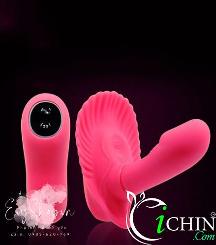 Pretty Love Fancy Clamshell