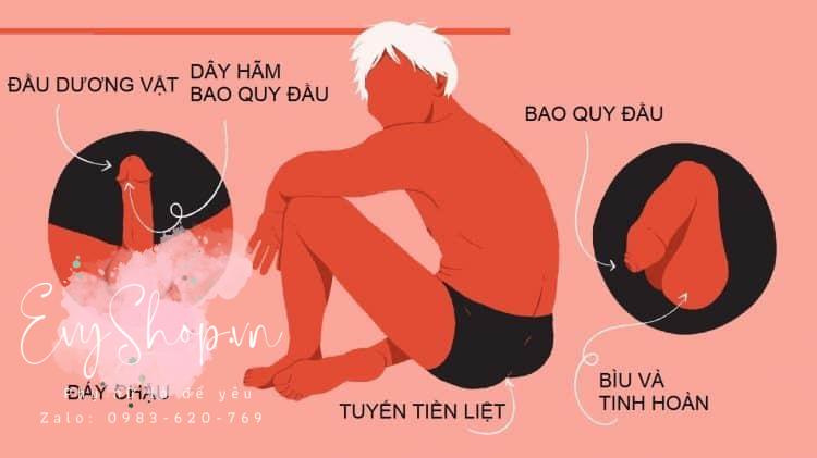 25 điểm nhạy cảm trên cơ thể đàn ông và phụ nữ nên kích thích khi làm tình