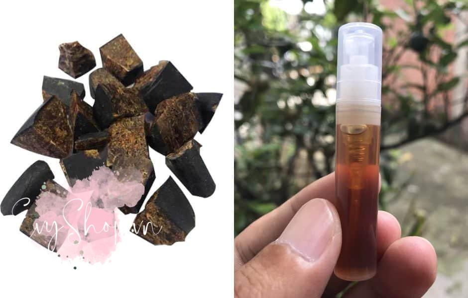 Cao sìn sú có tốt không? Sự thật về tác dụng tăng cường sinh lý phái mạnh