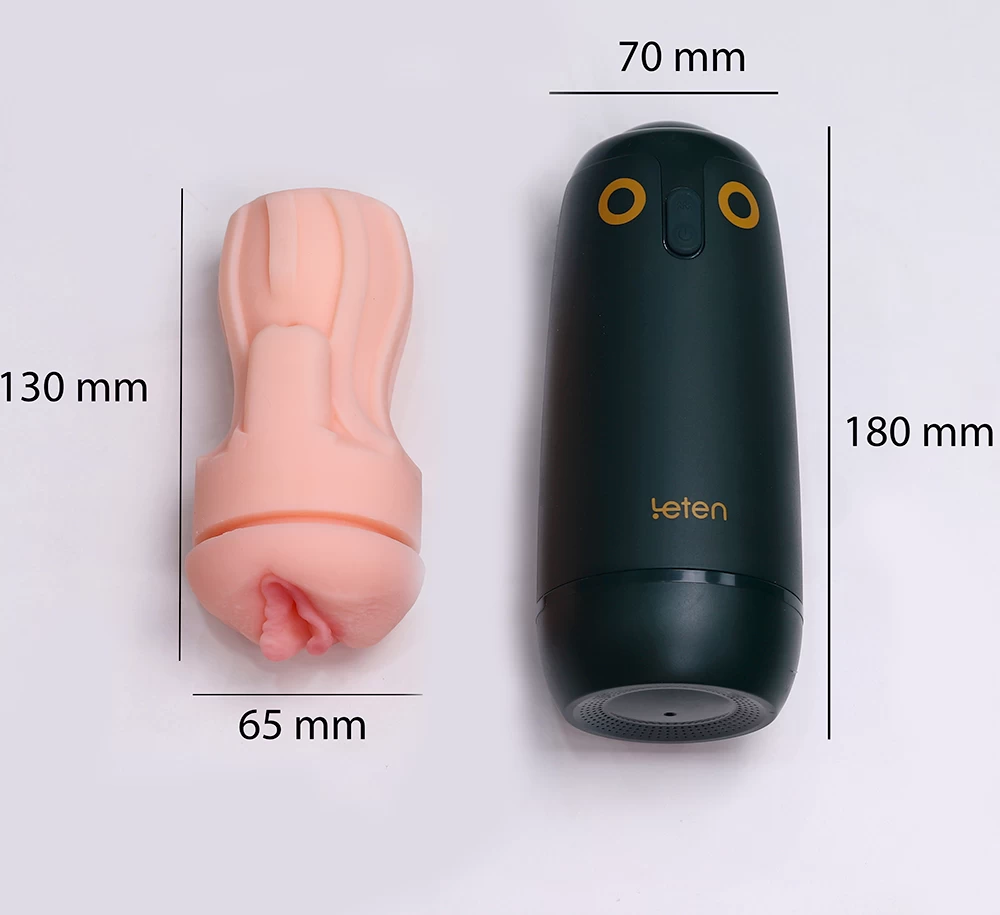 leten-walking-bird-11 Kích thước của Leten Walking Bird